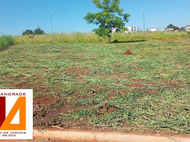 #198 - Área para Venda em Ribeirão Preto - SP