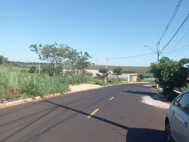 #198 - Área para Venda em Ribeirão Preto - SP